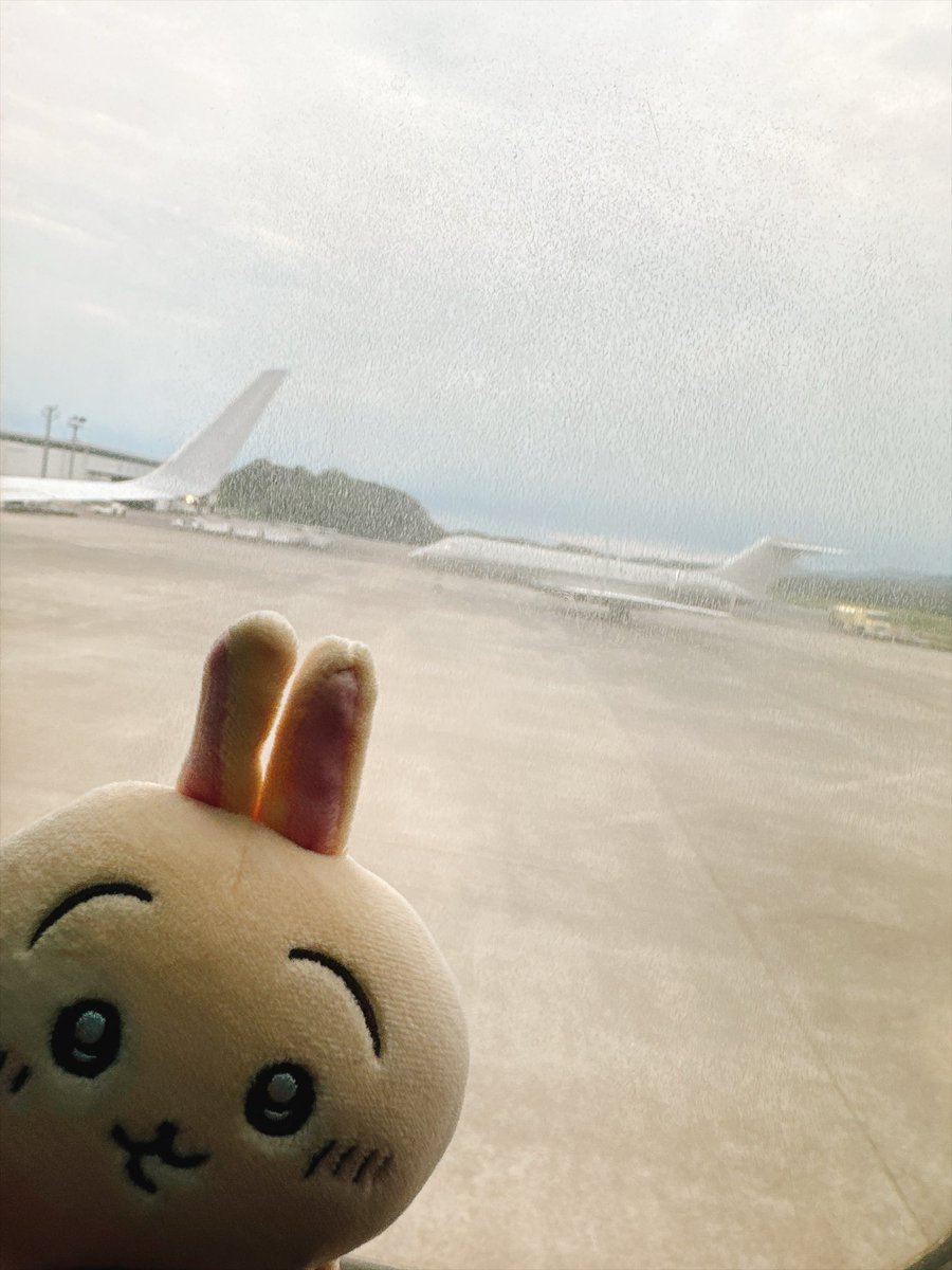unchi_br's tweet photo. 初めてのぬい活旅 https://t.co/KFUkIqatXF