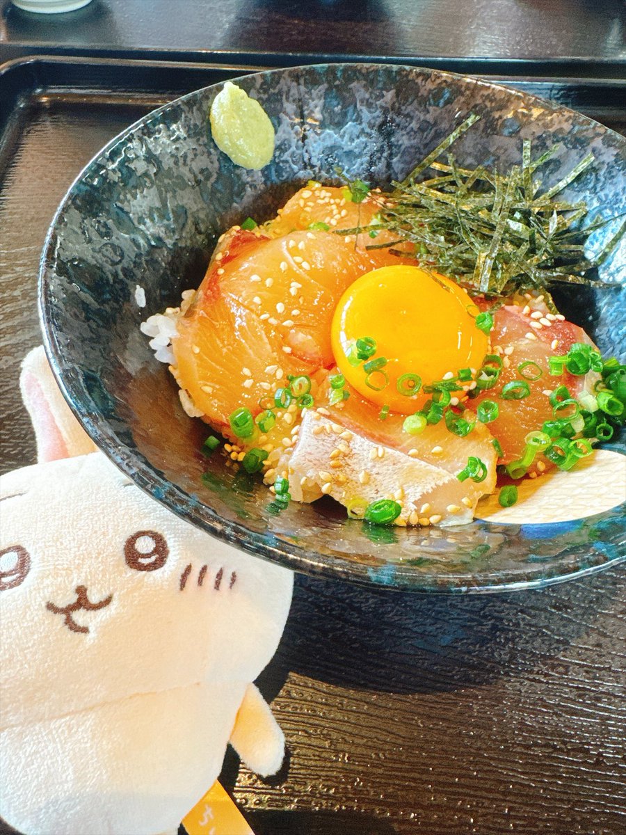 unchi_br's tweet photo. 初めてのぬい活旅 https://t.co/KFUkIqatXF