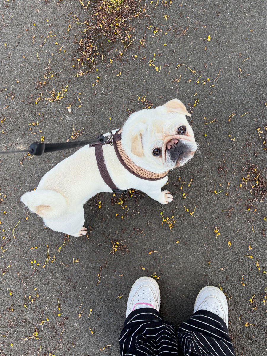 FaithDebenkts7's tweet photo. The cutest, best boy. https://t.co/FUydIrXtNh