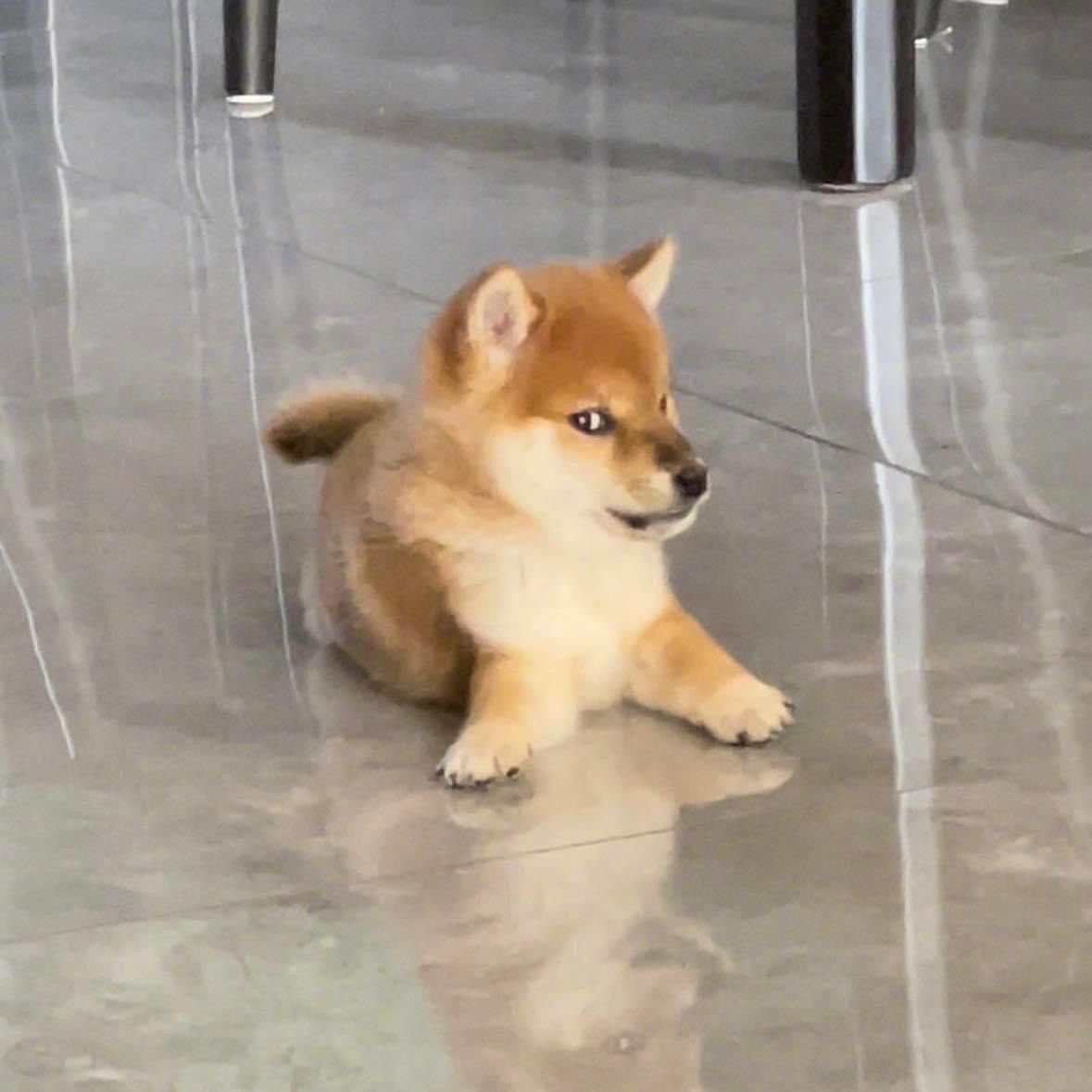 peangaoei's tweet photo. คนพูด ; https://t.co/hh5zDXVduS