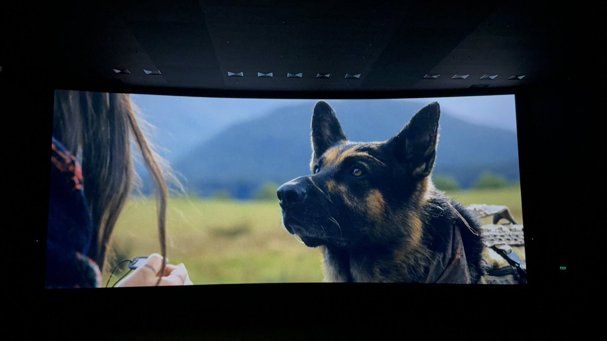ShyamkrishnanB's tweet photo. #HeartOfTheBeast This has to be the most beautiful movie I’ve seen this year. It’s like a balm for the soul.
Once again, let me start with genuine praise for how this movie is proper demo material for a #DolbyCinema screen. Completely shot outdoors, the visuals are absolutely stunning. Each frame is beautiful, thanks to #MauroFiore s cinematography and the #DolbyVision grading is also phenomenal.
The same goes for the #DolbyAtmos experience. The sounds of nature - from the slight rustling of leaves to loud thunder and heavy rain; make brilliant use of the height channels, taking you into an almost meditative, relaxed state.
The movie follows a former Special Forces soldier and his combat dog, who get stranded in the deep Alaskan wilderness and have to find a way out.
The storyline might be simple, but the emotions and adventures that unfold make this such a heart-touching experience. Odin, the dog, is the heart of this movie, with his innocence and pure love for his human partner.
#BradPitt delivers a fine performance, capturing his character’s deep bond with the canine, his extreme military survival skills, and, equally importantly, his vulnerabilities.
#DavidAyer has created a visual poetry that stirs the soul. Add to that the soothing musical score by #JaredMichaelFry , and you have a movie that is genuinely worth experiencing on the best screen you can find.
@DavidAyerMovies @jaredfry @amb_cinemas @DolbyIn @DolbyCinema @Dolby @ParamountPics