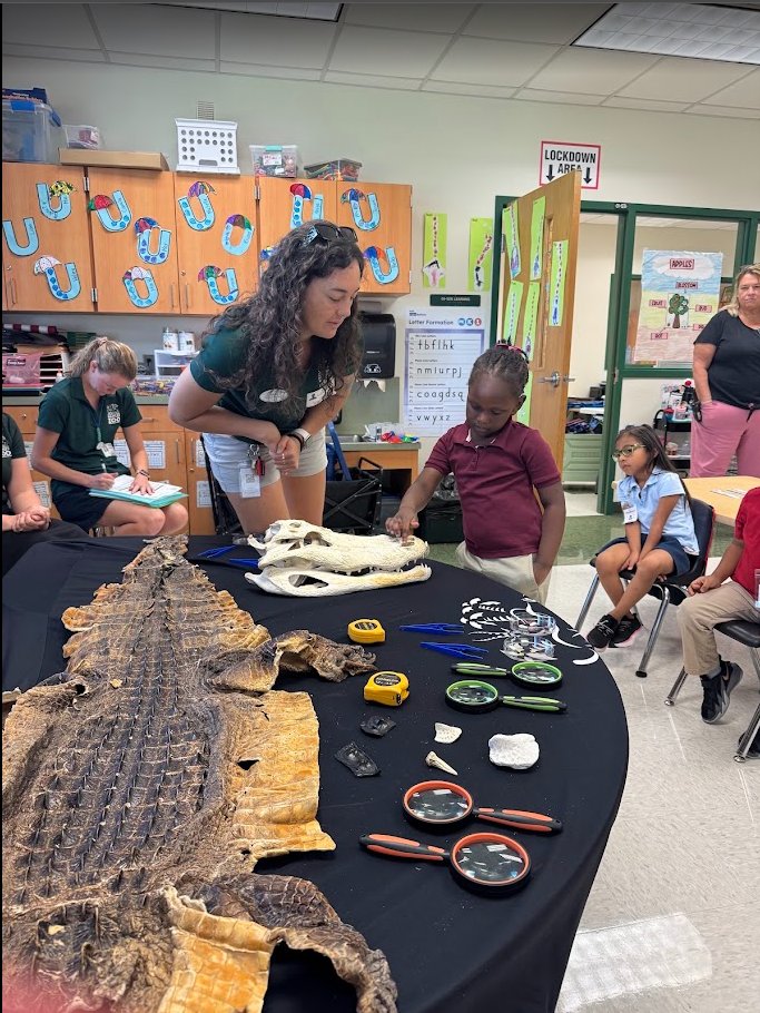 ParksideProud's tweet photo. Our Kindergarten students had a special visit from our friends at the @NaplesZoo! They learned all about alligators and even got to touch a real alligator hide! Thanks, @CollierScience, for the fun experience! https://t.co/IY0twew913
