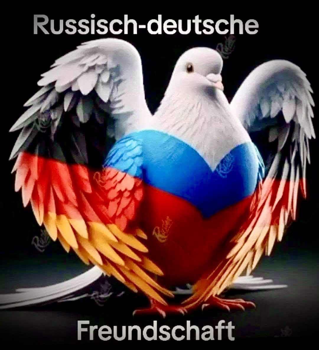 MaDeOHV's tweet photo. Ich bin Deutscher und Russland ist NICHT mein Feind! 🇩🇪🤝🏻🇷🇺 https://t.co/KdSh8jclyI