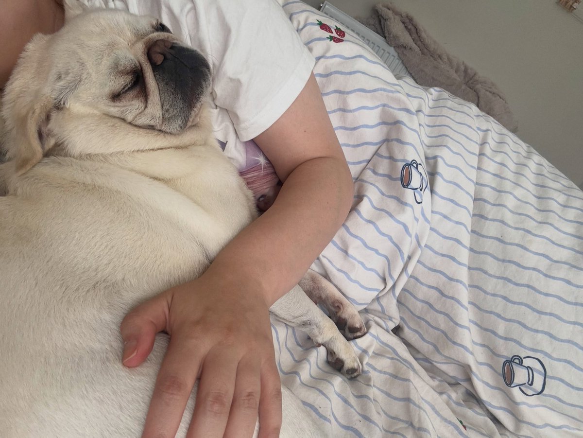FaithDebenkts7's tweet photo. Morning cuddles for the sweetest start to the day. https://t.co/s09oejqdFX