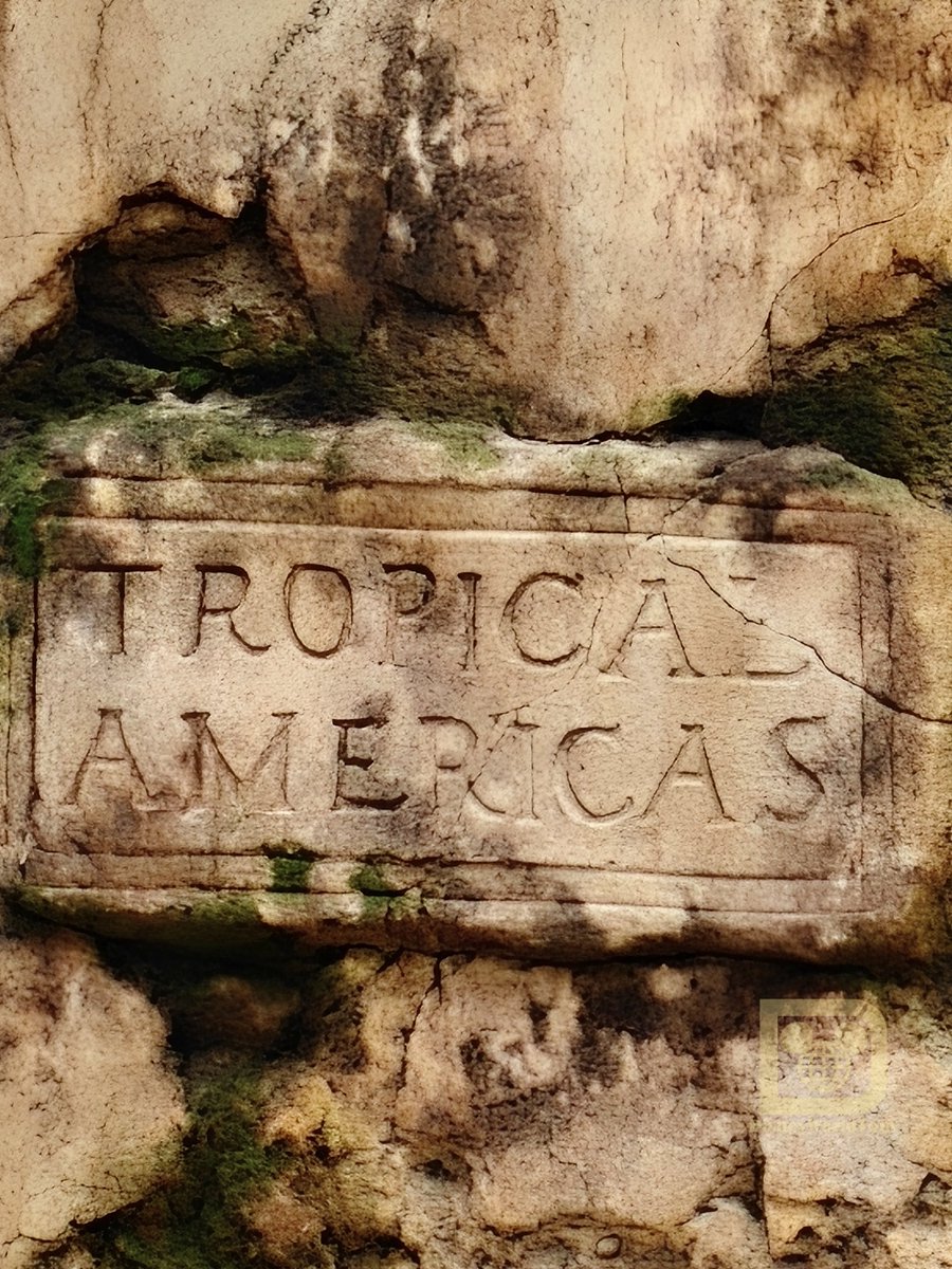 DisneyWorldTom's tweet photo. 🌿 A closer look at Tropical Americas at Disney’s Animal Kingdom. I stopped by September 24, and the rockwork around Pueblo Esperanza already shows an impressive amount of fine detail, with layered textures and carved elements beginning to bring the area to life! https://t.co/FCpxRip0hq