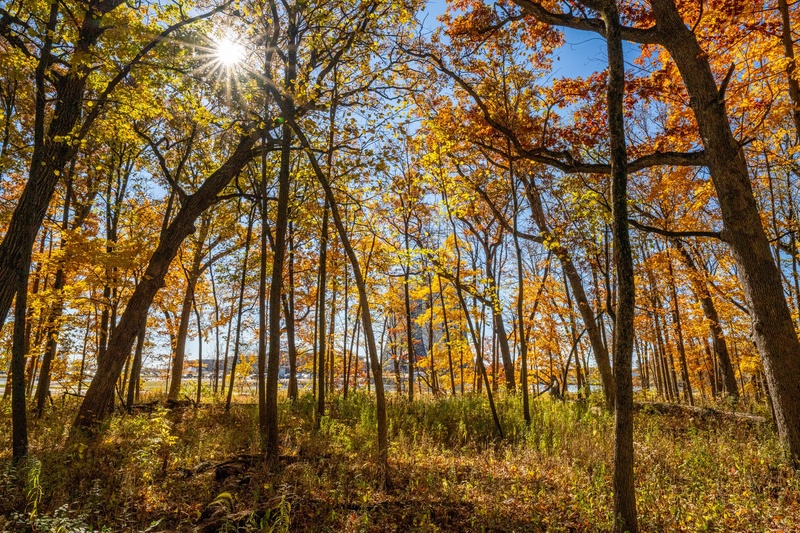 FermilabEd's tweet photo. Clean air matters! Fermilab tracks and monitors both existing and potential emissions into the air through the Air Emissions Control Program to ensure we remain a low emitter of air pollutants. We prioritize equipment and processes with the least environmental impacts possible. https://t.co/oOLkPGxjaQ
