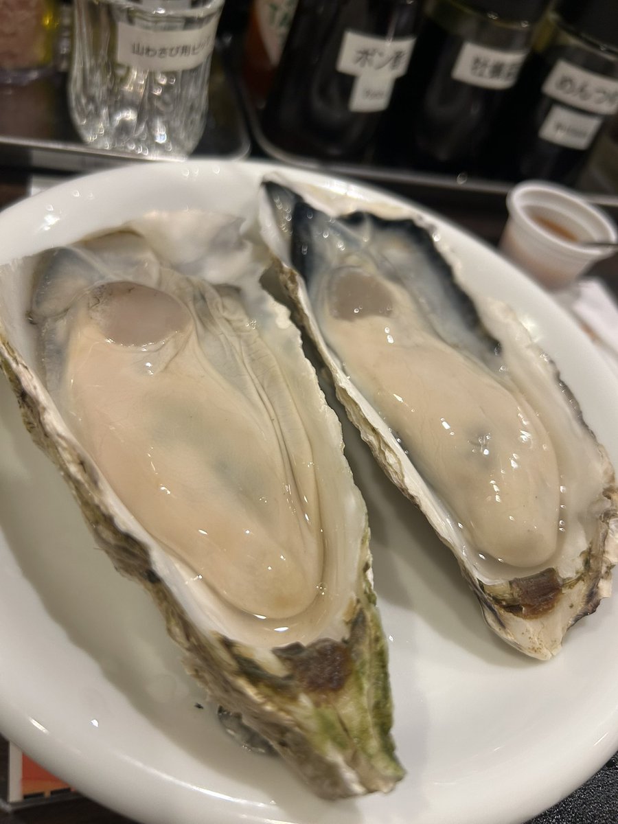 saki1376's tweet photo. むぎさんと念願の生牡蠣を食らってきました
美味しかった！20とか秒だった
その後はおうちでお泊まりです
めちゃくちゃ話してる https://t.co/qTmbMDSloq