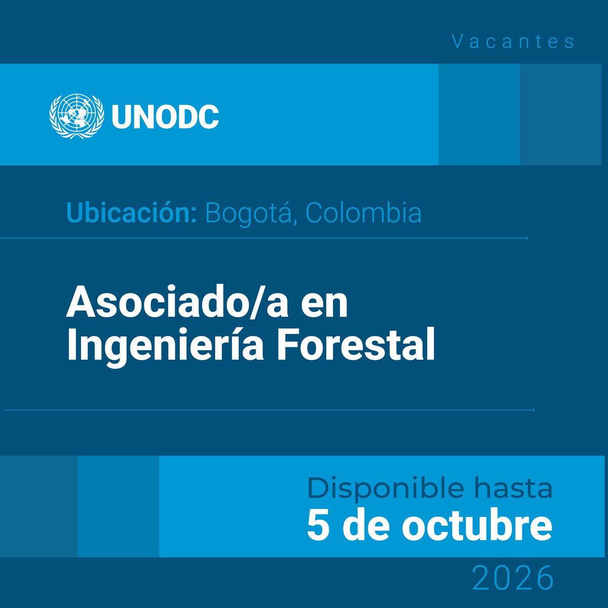 UNODCROCOL's tweet photo. 📣 ¡Vacantes Disponibles! #Colombia  🇨🇴

La Oficina Regional de UNODC para la Región Andina y el Cono Sur abrió convocatorias en:

👉Asociado/a en Ingeniería Forestal: https://t.co/elTnFnsQwV

👉Procurement Officer: https://t.co/q3VVUY3hSR

¡Aplica hoy! https://t.co/gqpdOEnQLs