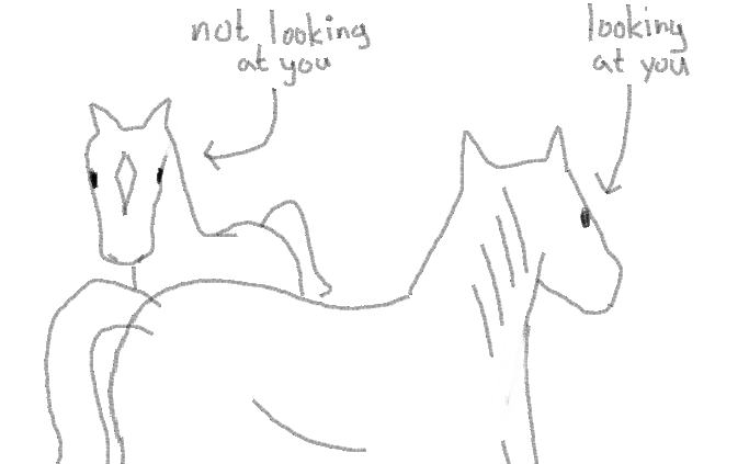 splorg8's tweet photo. horses get like 30 times cuter when you understand this https://t.co/GuBl1p4Hqz
