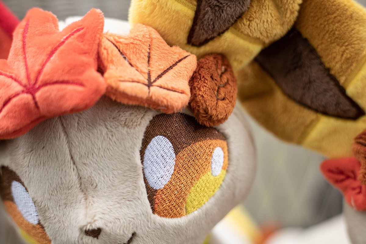 KitsewStudio's tweet photo. Two Autumn Leafeons are looking for new homes! 🍂

Big size, around 63 cm from frot paws to tail tip. https://t.co/kKH6pA2M6f