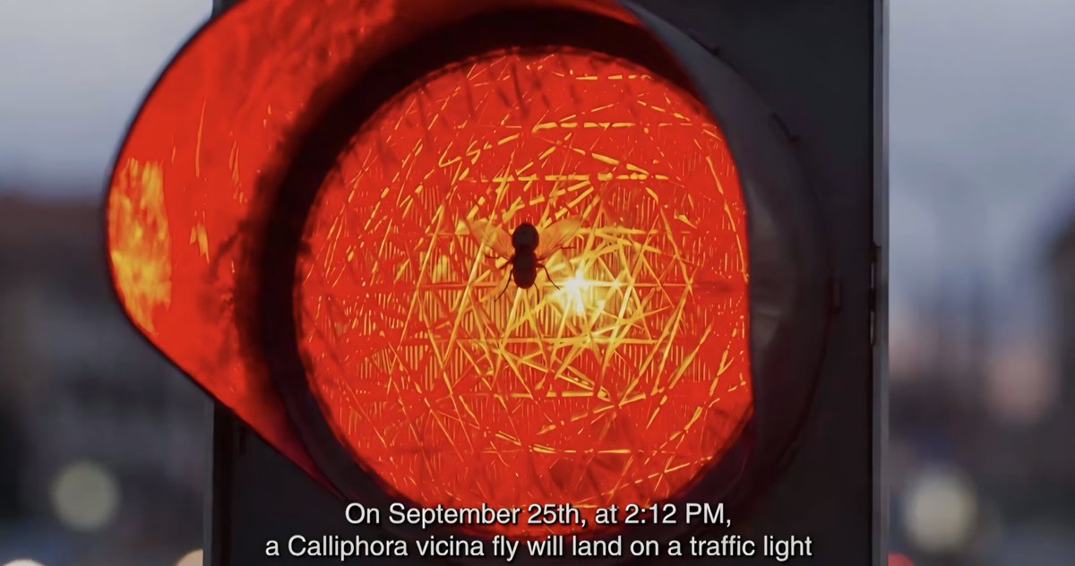 pfchisterical's tweet photo. Сме ли
Calliphora vicina
у први ред
Арене? https://t.co/UBTy3LsxOS