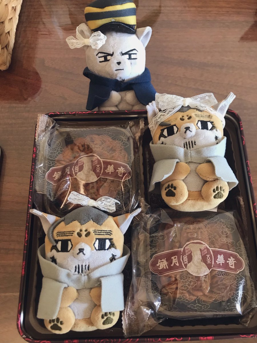 swampurr's tweet photo. Happy Moon festival 🎑🥮😺 https://t.co/u8qN9awMNx