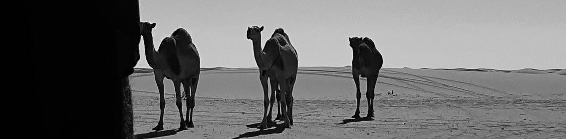 s5o_iii's tweet photo. غير حب البل وحب الطيبيّن
خل قلبك لا يقاد ولا يساق https://t.co/jehxew5tIx