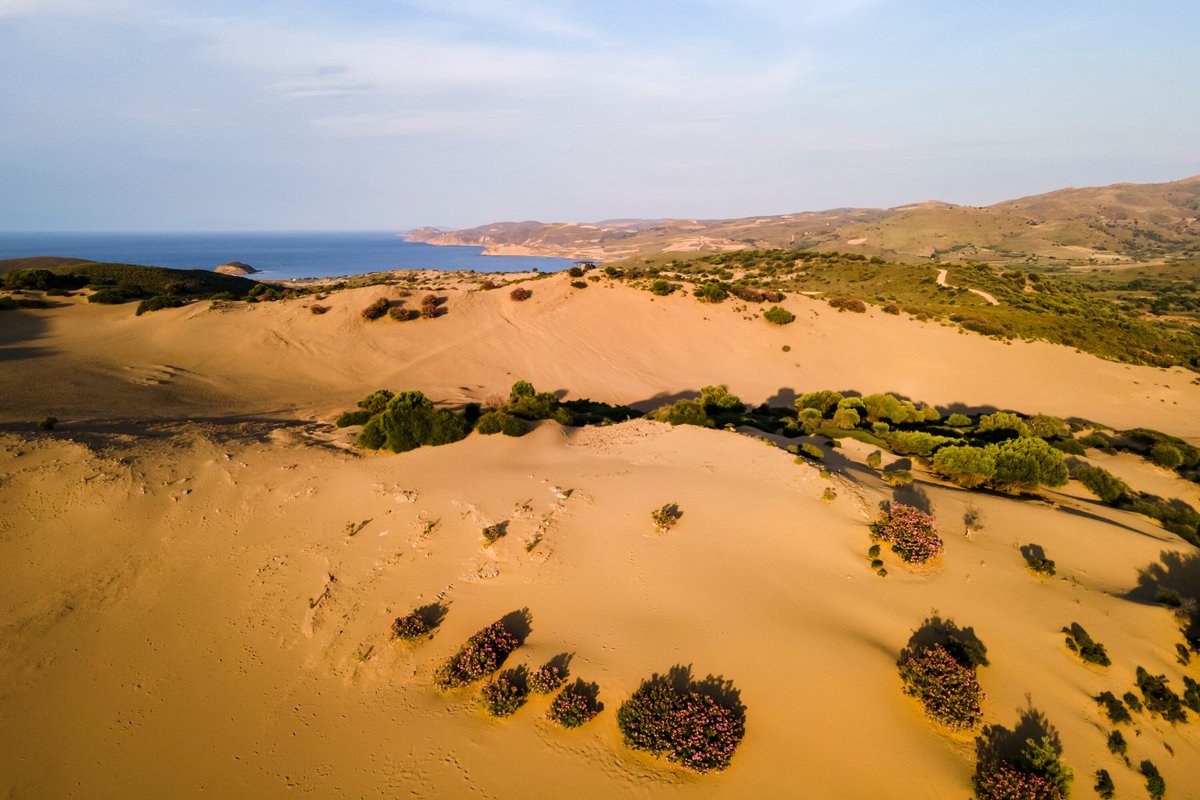 hellenicseason's tweet photo. The Lemnos Ammothines Sand Dunes are one of Greece's hidden natural treasures.

Located on the island of Lemnos in the northeastern Aegean Sea, these sand dunes provide a unique landscape that stands out against the island's typical Mediterranean scenery💯 https://t.co/UTTz3q8byo