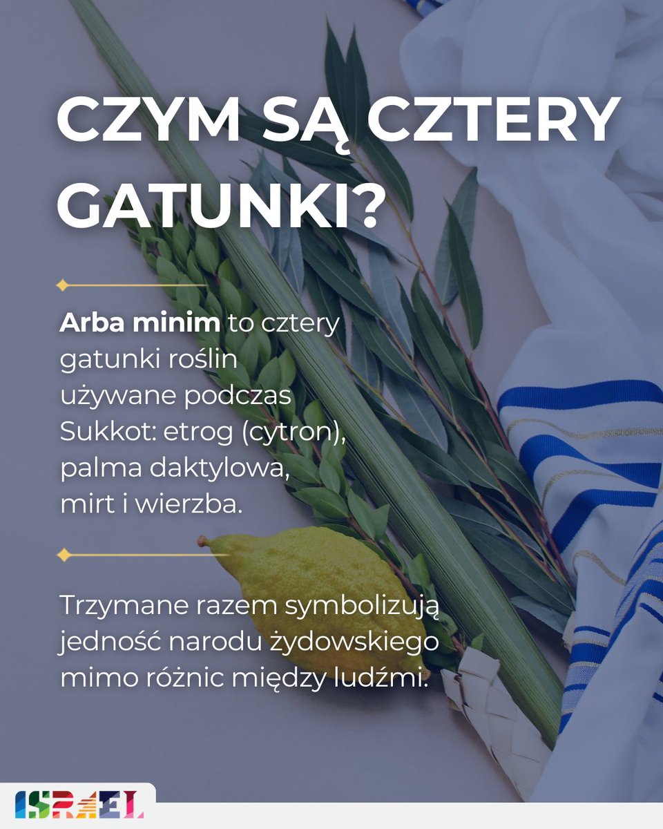 annaocichowska's tweet photo. Dziś po zachodzie słońca rozpocznie się Sukot, radosne żydowskie Święto Szałasów, upamiętniające wędrówkę Izraelitów przez pustynię.

Szczególnie zainteresowała mnie tradycja arba minim, czyli czterech gatunków. Są to etrog, gałązka palmy, mirt oraz wierzba. Podczas modlitwy trzyma się je razem i kieruje w różne strony świata. Gest ten przypomina, że Boża obecność otacza człowieka wszędzie, niezależnie od miejsca, w którym się znajduje.

Wszystkim obchodzącym Sukot życzę święta pełnego pokoju, radości, wdzięczności i rodzinnego ciepła.

Chag Sukkot Sameach! 🇮🇱

——
 
Sukkot, the joyful Jewish Festival of Booths commemorating the Israelites’ journey through the desert, will begin today after sunset.

I was particularly interested in the tradition of arba minim, known as the Four Species. They are the etrog, palm branch, myrtle and willow. During prayer, they are held together and waved in different directions. This gesture reminds us that God’s presence surrounds us wherever we may be.

I wish everyone celebrating Sukkot a holiday filled with peace, joy, gratitude and the warmth of family.

Chag Sukkot Sameach! 🇮🇱