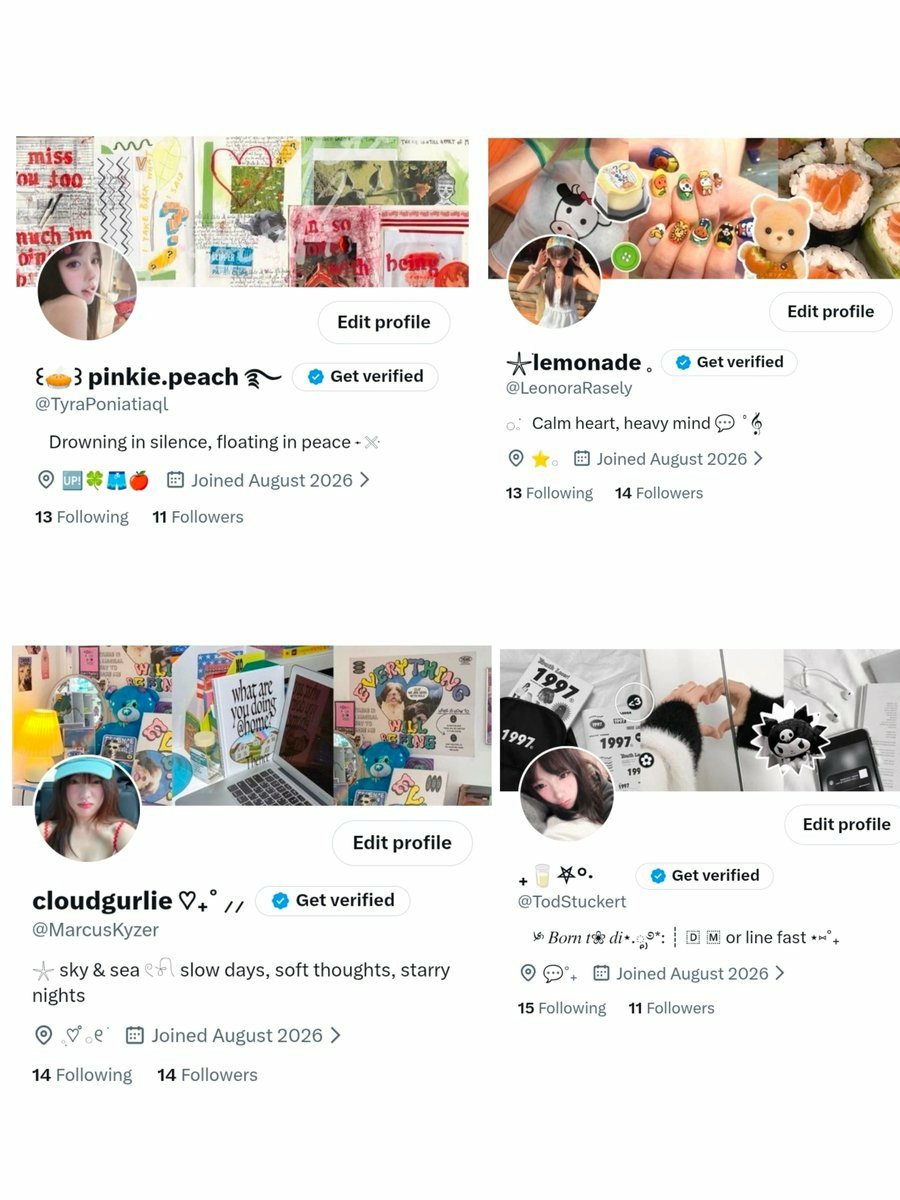 dkomkvt's tweet photo. Twitter x เปล่าเดือนเก่าขึ้น แท็ก #
 ✅เทสได้ทุกแท็ก✅ยกเมล

📎 6o baht.-
     ( 3 แถม 1 )

💬dm or line : bess-bess55
 https://t.co/xWZcoS5cbq
 #เทส #ขายแอค #ขายทวิต https://t.co/r8nMp6fP8w