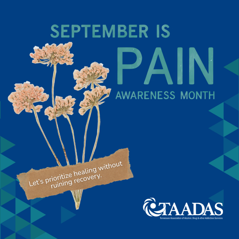 TAADAS_MEDIA's tweet photo. September is Pain Awareness Month 💙  

Managing pain is important. So is protecting recovery. 

Alternatives like NSAIDs, acetaminophen, physical therapy, exercise, and heat/ice therapy can help without the risks that come with opioids. 

Learn more: https://t.co/x0JgzodoE8 https://t.co/sgm3qnY1CZ