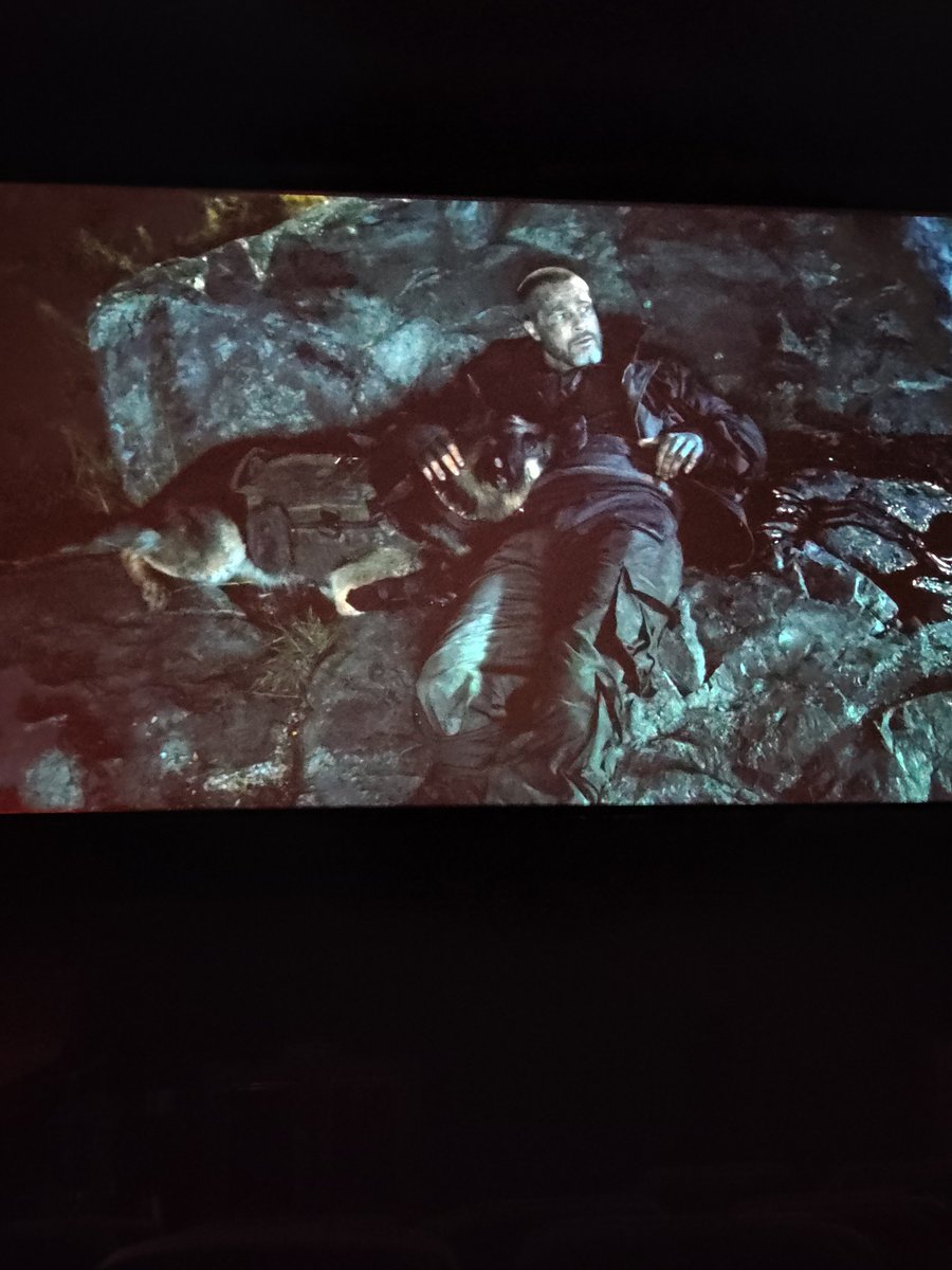 iluffy05's tweet photo. #Heartofthebeast was a heartwarming and heartwrenching story with beautiful frames🥺🤍
although I'm not a pet person this movie still hit hard 😭 I was legit crying during the climax.
Pitt is 🐐 but I'm surprised with the dog acting lol
Survival elements were also so good.
4/5 https://t.co/k4CkPL9CZn
