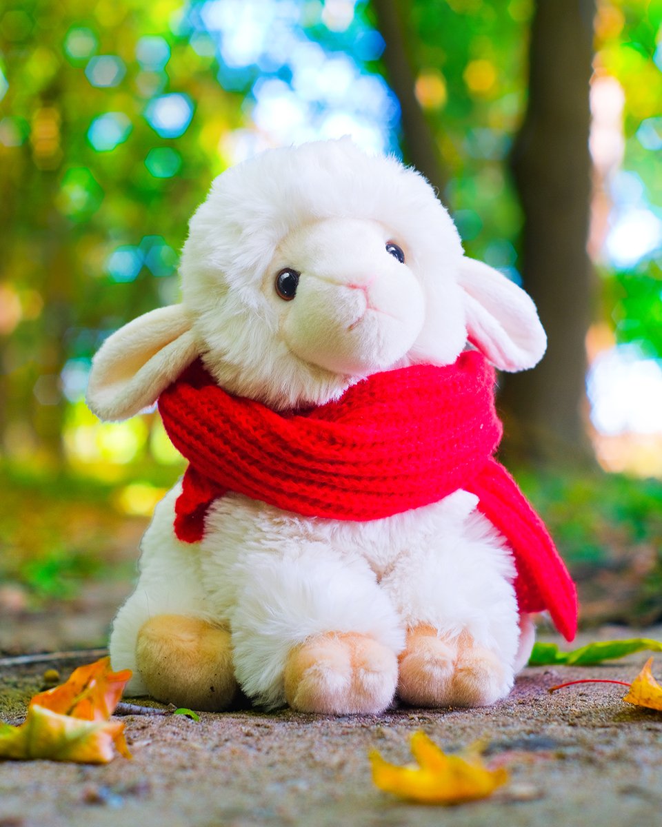 douglastoys's tweet photo. It's getting a little chilly for this little lamb... Stay warm Dollie! 🧣🐑
What's your favorite thing to do in the fall? Dollie loves staying cozy while she crunches through the leaves! 🥰🍂
#sheep #lamb #cutesheep #plushies #douglas #cutelamb #cuteplushies #stuffedanimals https://t.co/OJRlbtCFne