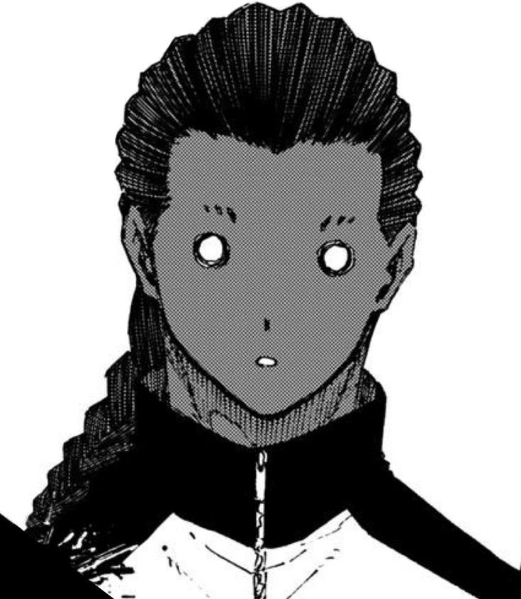 critikalhealth's tweet photo. agi's microbraids r so beautiful if they get butchered by bandai im killing everyone. https://t.co/i4gROrEei6