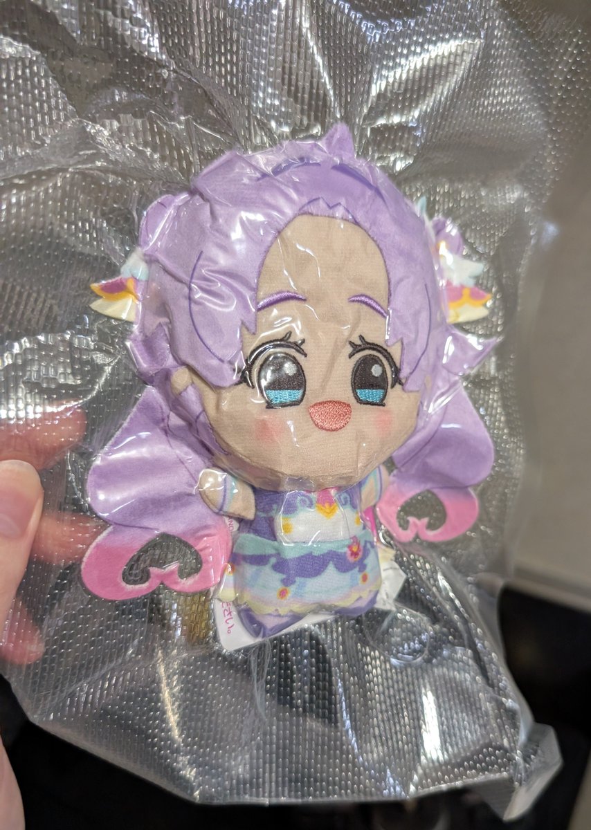 nutsn_haru's tweet photo. メルカリでちびぐるみ買ったら
真空パックされてきて爆笑してる

ちびぐるみってこんな薄くなれるんや https://t.co/AuLoqsT9kn