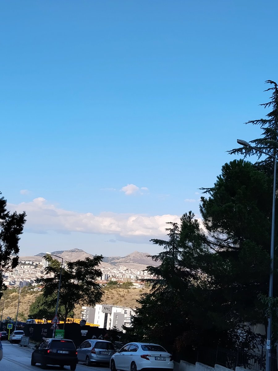serap0658's tweet photo. Güzel huzurlu sevgi dolu bir akşam olsun 🫶 https://t.co/d5LygrLJbp