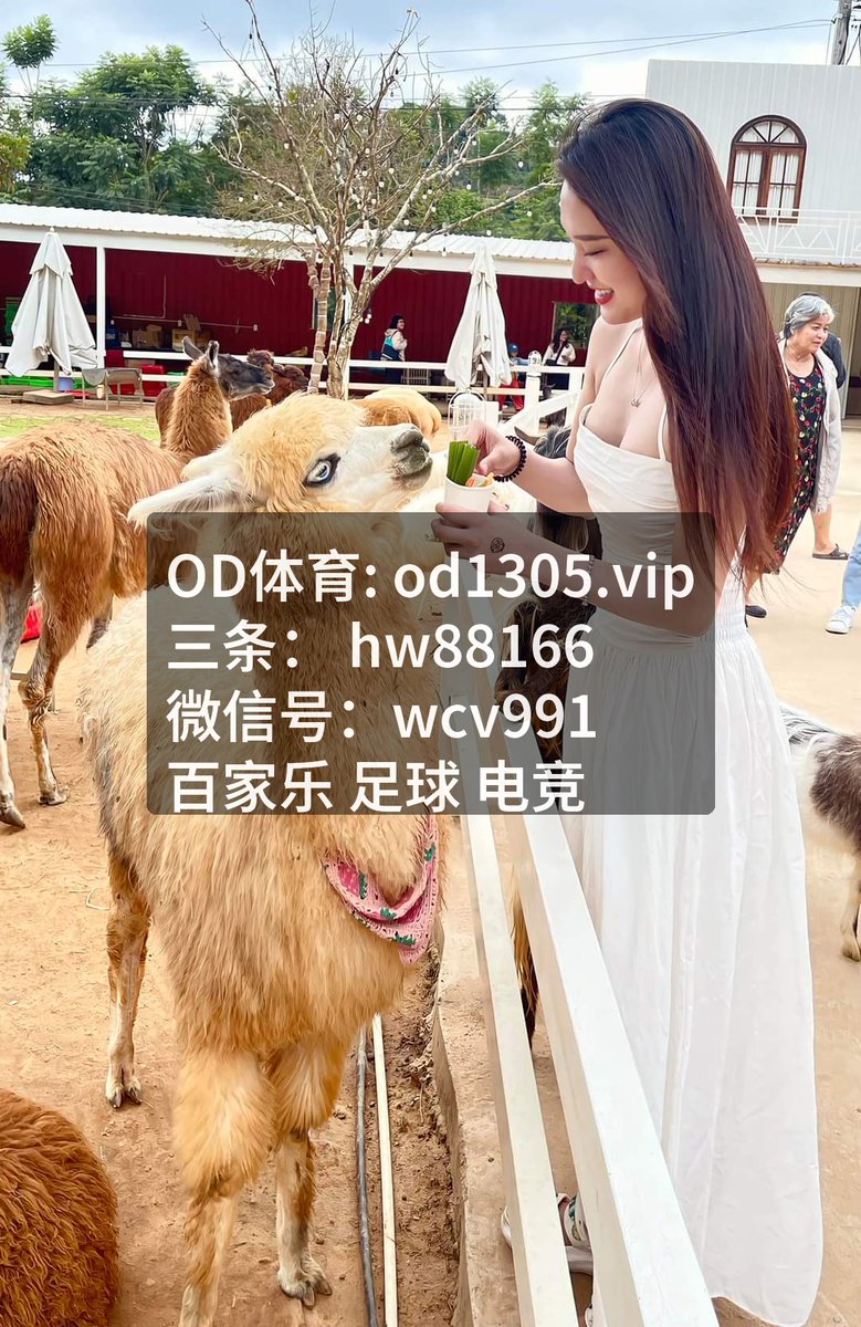 johnsonlin9m's tweet photo. 讲真，本轮 百家‍乐盛况空前，足‍球令人称道。无比 开云​体‍育‍的比拼，将 落​点‌与 ​短‌传​展现绝伦。 确实稳！🍌大小球推荐🏀 Exceptional playmaking view in every minute | 大乐透预测 | 英雄联盟 | 📢 | ​欧巴罗杯 | 红单预测 | ​📌 ​| 福彩 | 📌 | 麻将 | 🌐🍉乐鱼体育🍇🍓 https://t.co/z5GdaIq0hP