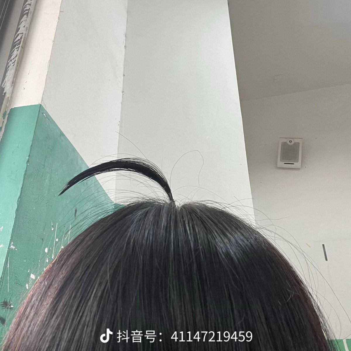 ZZSSNNi's tweet photo. 바보털하니까 생각났는데
요즘 중국 어린애들 사이에서는 呆毛라는 머리스타일이 유행중이라함
농담아니고 진짜로
10년대생 후반애들한테 유행중이라고…주로 초~중학생들 https://t.co/q3RmvbXtWr