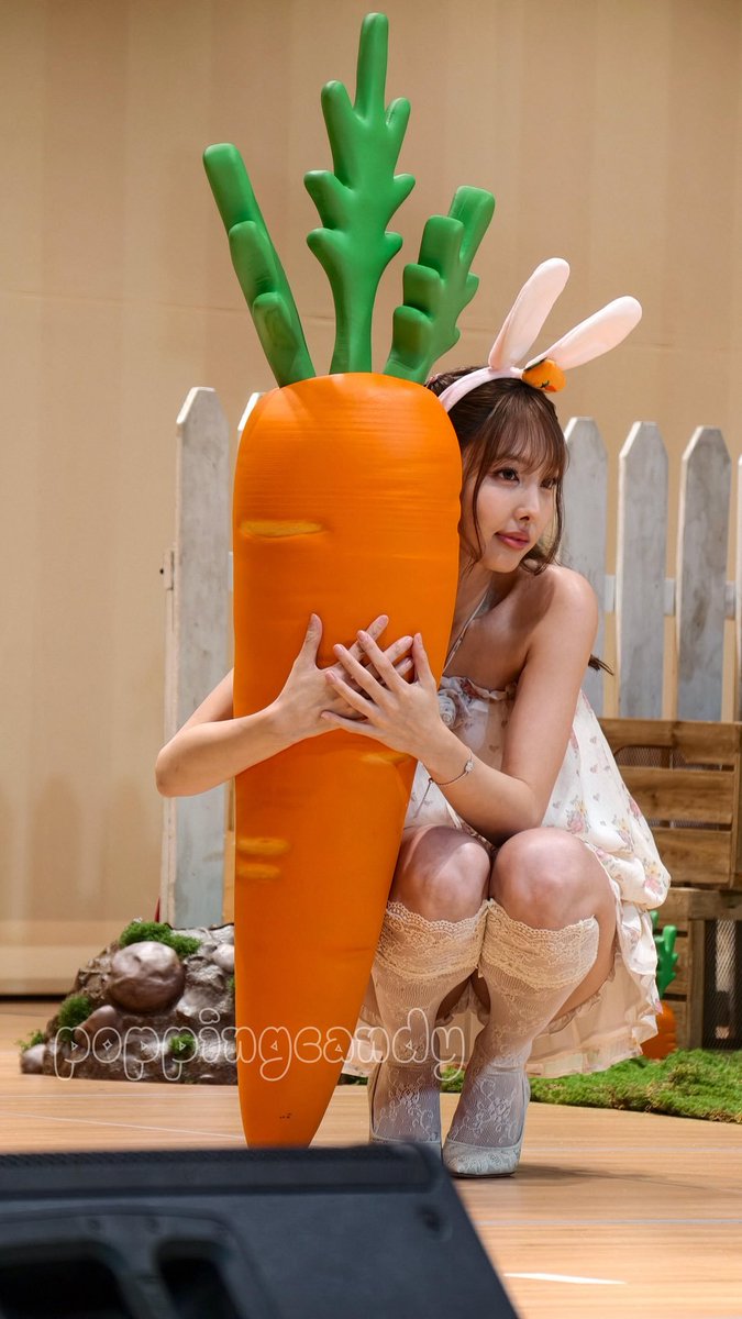 dearlyjanni's tweet photo. hugging this carrot instead, since hugging you is sadly an impossible mission https://t.co/9dlpe3s94Y
