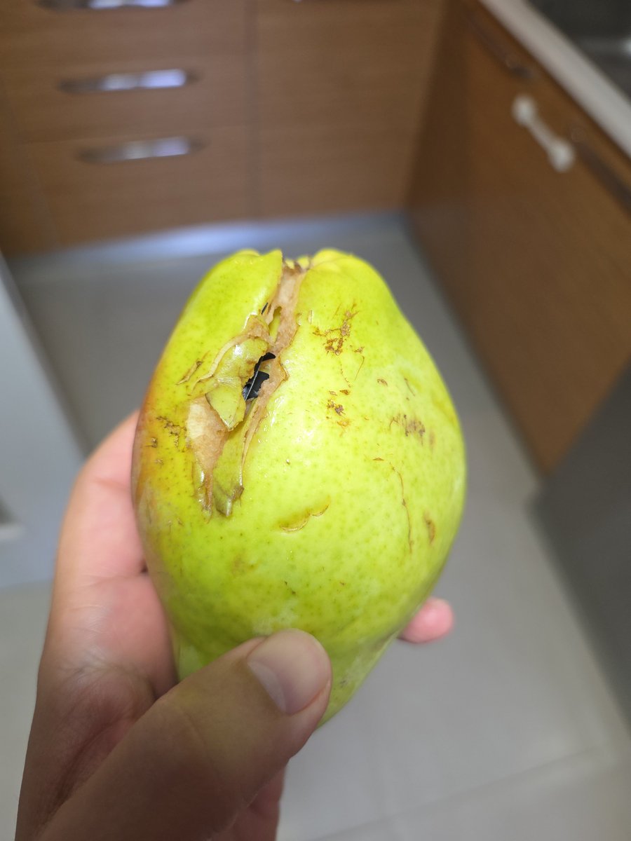 holthsz's tweet photo. 23 Eylül, saat 17:24'te Yalı Mh. Karşıyaka İzmir'deki @macrocenterTR şubesinden alışveriş yaptım. Bu artık gıda güvenliği ihlali değil, direkt insanın can güvenliğine kasıt. Bunu çocuk yiyecek yahu. Hiç mi tedarik zincirinde kontrol yok? https://t.co/OfqiaO2u3y