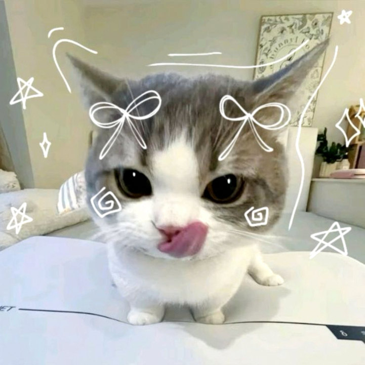 bo_oooooooo's tweet photo. 部長からシルバーウィーク中にちいかわ観たと報告されたので、今後はにこやかにしるこサンドを渡しにいける！！！ https://t.co/19MKVOSWd6