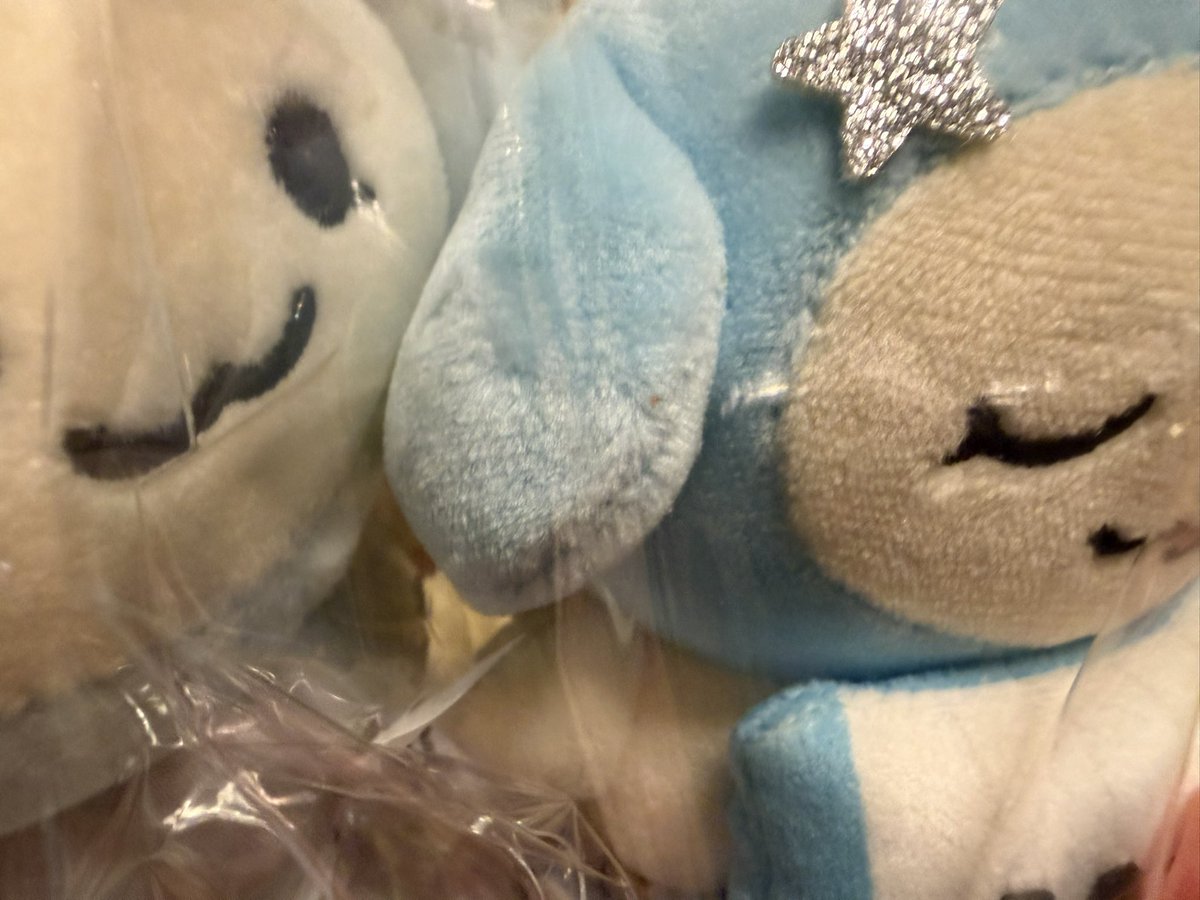 Tulpe_log's tweet photo. あまりに背景が汚すぎて不本意なドアップ
昨日発送通知来たのに届くのはや〜！ https://t.co/npUrB12lE7
