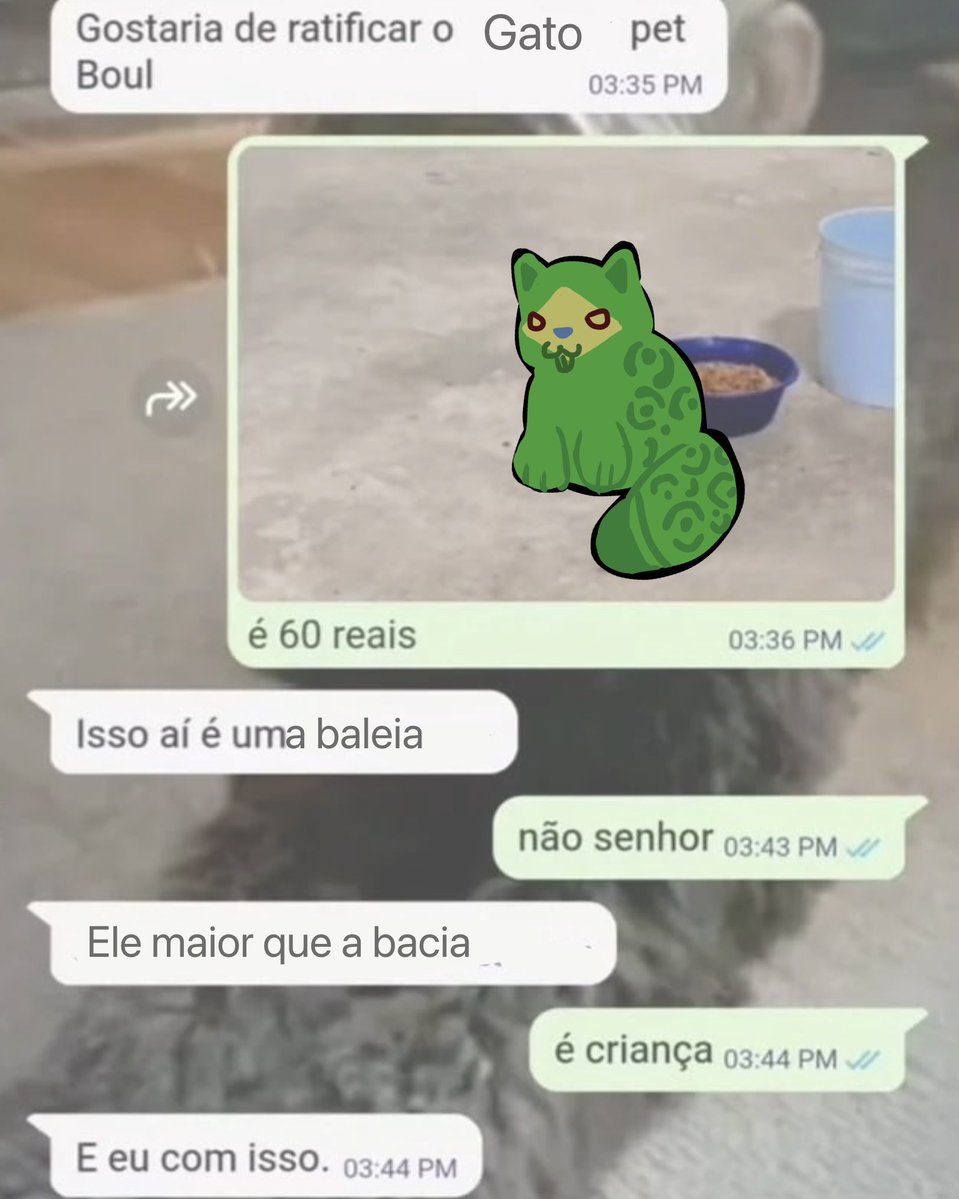 ArrozAzedo2's tweet photo. Ainda hoje eu posto a versão da América Latina inteira como gatinhos https://t.co/E1aleQC9XK