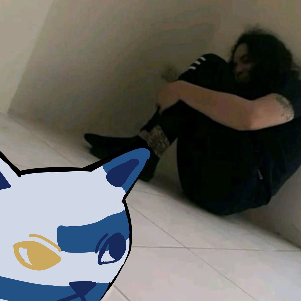 ArrozAzedo2's tweet photo. Ainda hoje eu posto a versão da América Latina inteira como gatinhos https://t.co/E1aleQC9XK