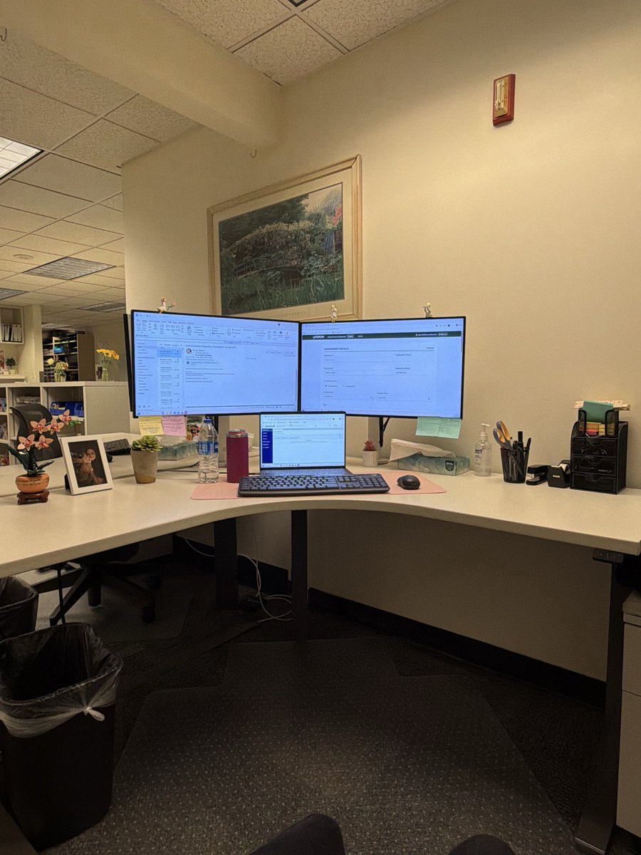 allisonpowell03's tweet photo. i’m like an exposed bug out in the open https://t.co/YdAnc2EgZG