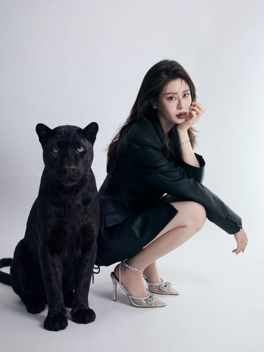 Bam_Saralee's tweet photo. แวะมาทักทาย
ระหว่างรอลาของไหว้พระจันทร์ค่ะ 🐈‍⬛🌕 https://t.co/yXZ5iMNypU