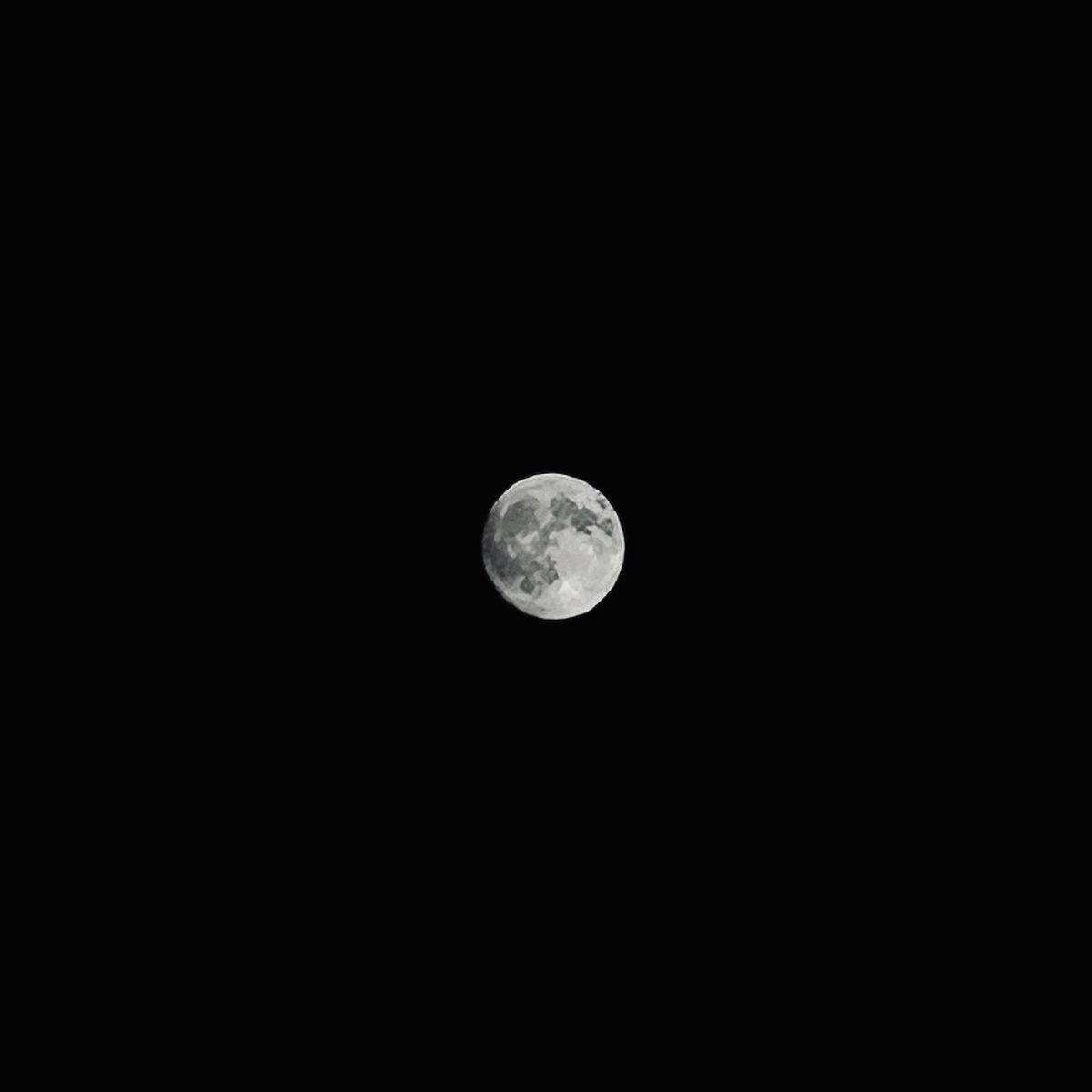 mik118922's tweet photo. 🎑🌕 https://t.co/dIyiabQSW9