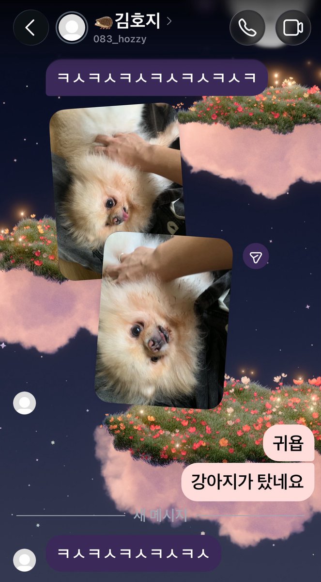 hghgarchive's tweet photo. 손밖에안보이네요 https://t.co/Jx0mwMqaLJ