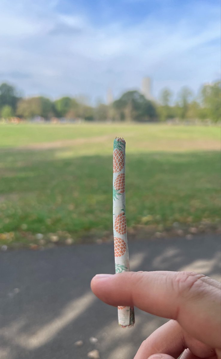 7James00's tweet photo. Can we smoke in London Parks? 
🍍🚬💂🏻‍♂️❓ https://t.co/Hjlm4MJpiC