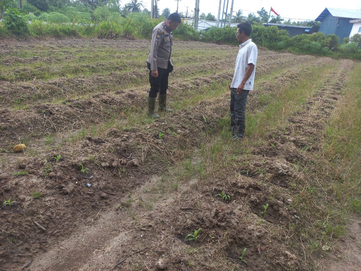 HumasTTB's tweet photo. POLSEK TEBING TINGGI BARAT LAKUKAN PEMBINAAN PETANI DESA RENAK DUNGUN.
#Polri
#Poldariau
#Polreskepmeranti
#Ketahananpangan . https://t.co/1bCrJQ27hX