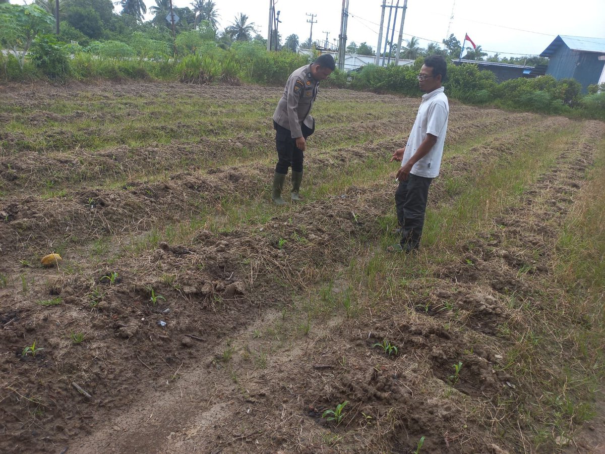 HumasTTB's tweet photo. POLSEK TEBING TINGGI BARAT LAKUKAN PEMBINAAN PETANI DESA RENAK DUNGUN.
#Polri
#Poldariau
#Polreskepmeranti
#Ketahananpangan . https://t.co/pkNbKKcLGv