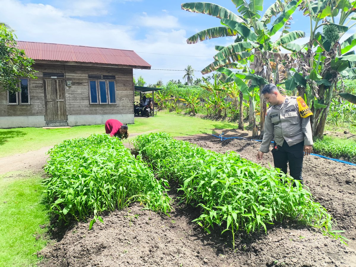 HumasTTB's tweet photo. POLRI DUKUNG KETAHANAN PANGAN MELALUI PEMANFAATAN LAHAN UNTUK BUDIDAYA TANAMAN KANGKUNG
#Polri
#Poldariau
#Polreskepmeranti
#polisicintapetani
#ketahananpangan. https://t.co/tOO5VWkuhB