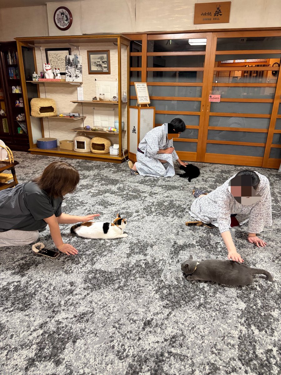 kiriya_ryokan's tweet photo. シンクロお尻トントンが誕生しました。
皆さま、ありがとうございます。

#野沢温泉
#桐屋旅館
#ねこ温泉
#ねこ宿
#看板猫 https://t.co/P8Qy45voXg