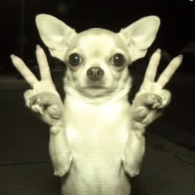 2o02e's tweet photo. 야르라는말밖에😇 https://t.co/FeBSLtVYqf