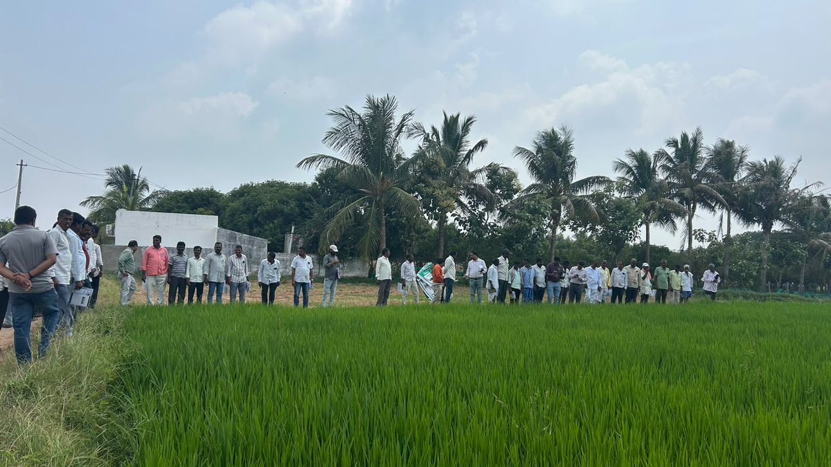 CIPMCHyd's tweet photo. The CIPMC, Hyderabad, organized a two-day Human Resource Development (HRD) Training Programme on Integrated Pest Management (IPM) practices in major Kharif crops during 22nd–23rd September, 2026 at Rythu Vedika, Rajapur Village and Mandal, Mahabubnagar District, Telangana. https://t.co/p5rVnm76s0