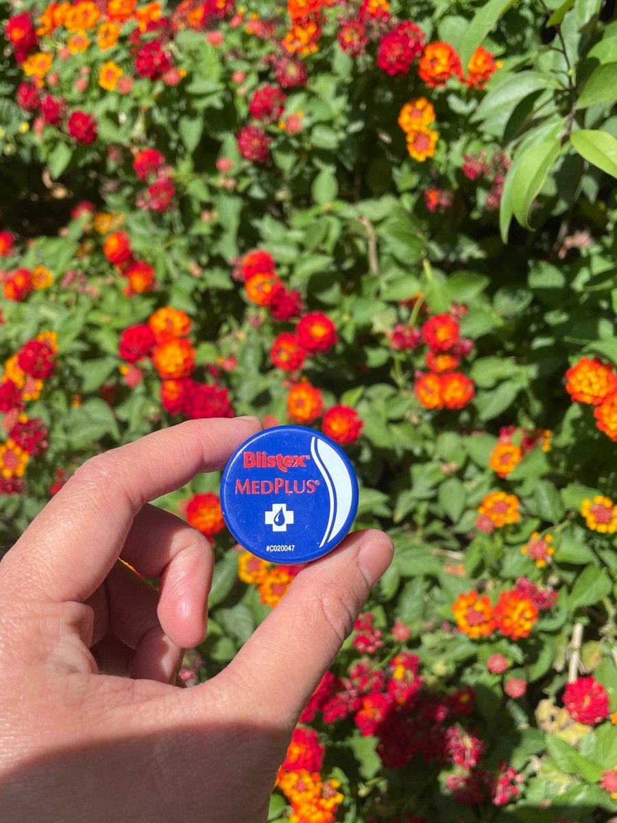 VanceAndeson's tweet photo. Summer can be tough on lips. When they need serious TLC, reach for Blistex MedPlus. With conditioning cocoa butter and cooling menthol, it helps soothe and restore even severely dry, distressed lips. https://t.co/4A282773LT