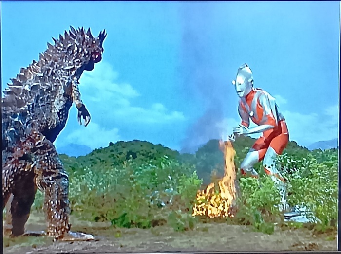 y_sirais's tweet photo. 一日一話。今日からは『#ウルトラマン』!
今宵は 第1話「ウルトラ作戦第一号」。

人類vs怪獣の『ウルトラQ』とは違い、巨大ヒーローvs怪獣というストーリーに代わりましたね。

怪獣ベムラーを追って地球に来たウルトラマンだったが、降下中に科学特捜隊のハヤタ隊員が乗った戦闘機に衝突してしまう… https://t.co/0xQitH6VJl