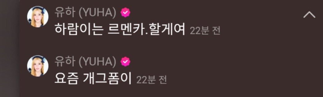 SriNa1041551's tweet photo. Yuha bilang kalau " member favoritny rmen unnie. Kita punya Selera humor yg sama. Aku serius tidak bercanda "

Hhmm dia tu kyk sayang bgt, G pernah bosan2 buat nunjukin rasa bangga atas unnieny dari dulu. Oh my 🥺 https://t.co/1ijZzKtjeo