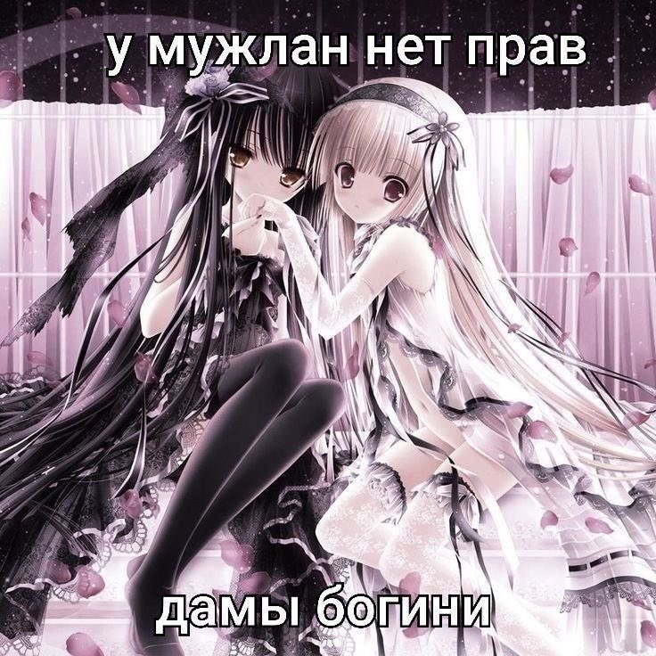 RomanAbrokin's tweet photo. https://t.co/RMuEBuSXwp