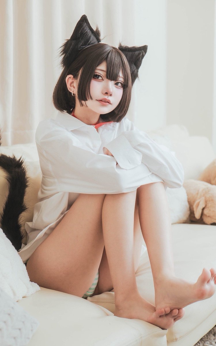 neco_core's tweet photo. 当アカウントの人気順なむさんコレクション🐈️🐾 https://t.co/znUQzpp6DZ